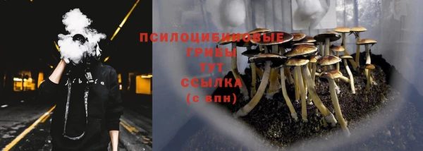 spice Абаза